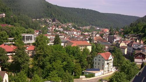 Webcam Bad Wildbad