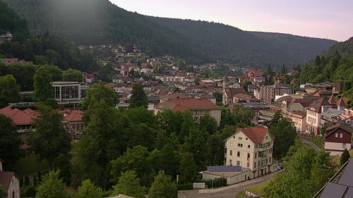 Webcam Bad Wildbad
