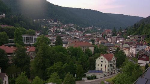 Webcam Bad Wildbad