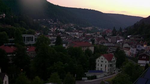 Webcam Bad Wildbad