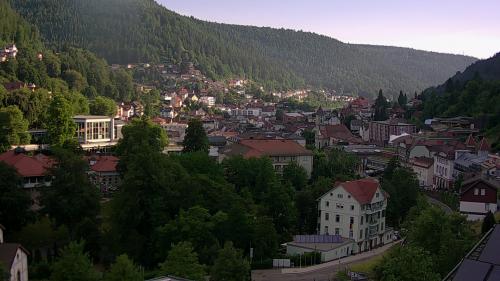 Webcam Bad Wildbad