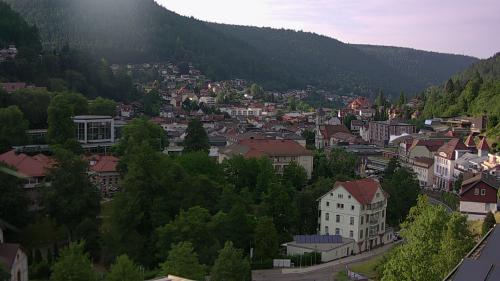 Webcam Bad Wildbad