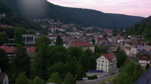 Webcam Bad Wildbad