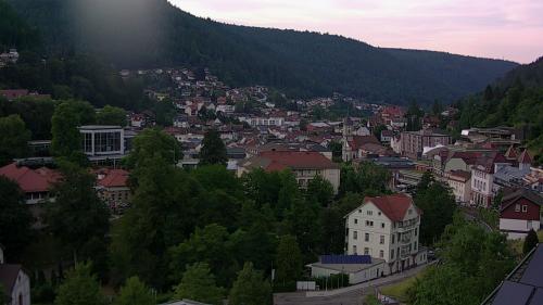Webcam Bad Wildbad