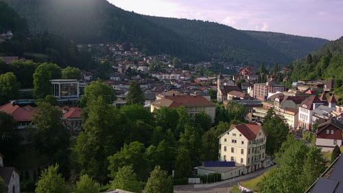 Webcam Bad Wildbad
