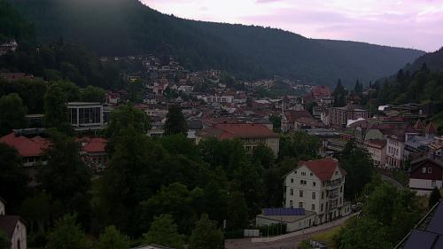 Webcam Bad Wildbad