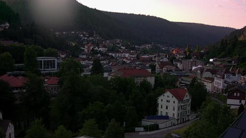 Webcam Bad Wildbad