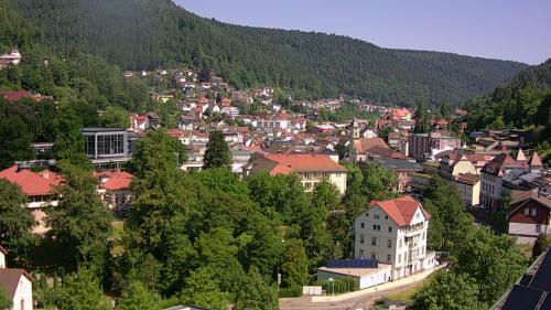 Webcam Bad Wildbad