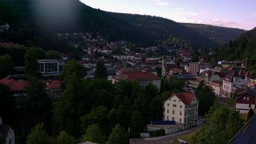 Webcam Bad Wildbad