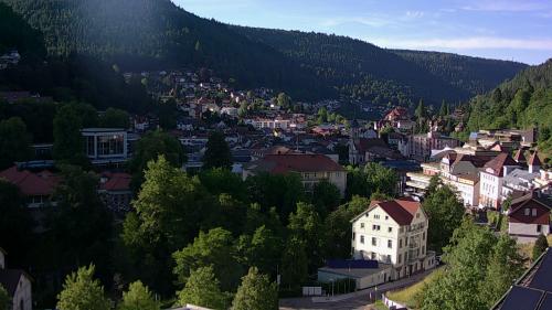 Webcam Bad Wildbad
