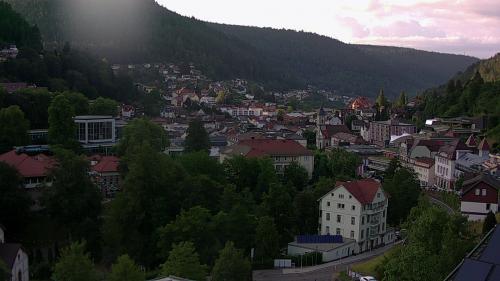 Webcam Bad Wildbad