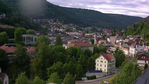 Webcam Bad Wildbad