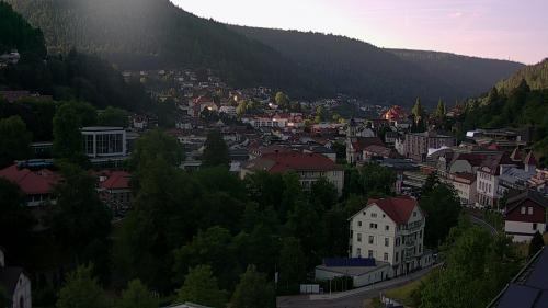 Webcam Bad Wildbad