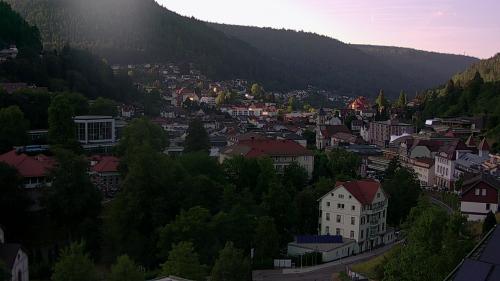 Webcam Bad Wildbad