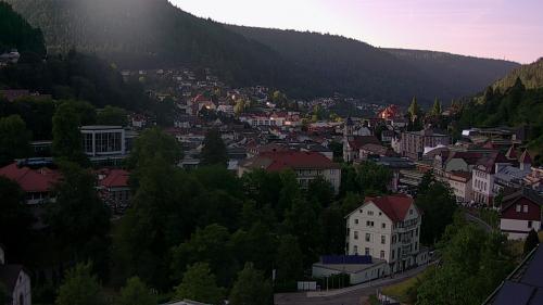 Webcam Bad Wildbad