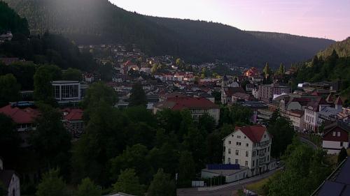 Webcam Bad Wildbad