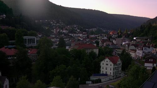 Webcam Bad Wildbad