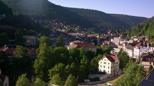 Webcam Bad Wildbad
