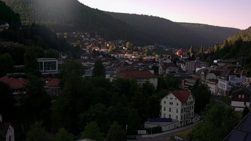 Webcam Bad Wildbad
