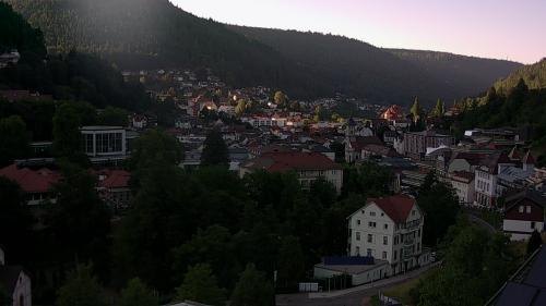 Webcam Bad Wildbad