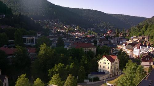 Webcam Bad Wildbad