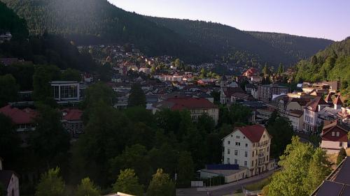 Webcam Bad Wildbad