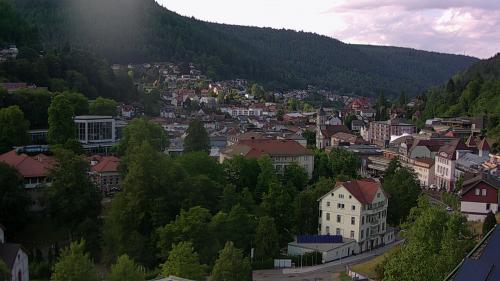 Webcam Bad Wildbad