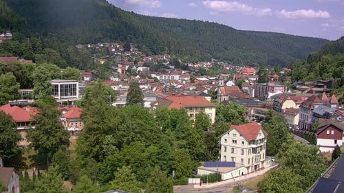 Webcam Bad Wildbad