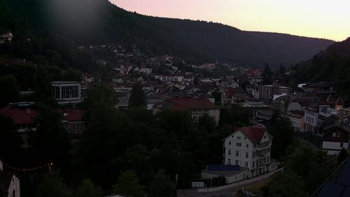 Webcam Bad Wildbad