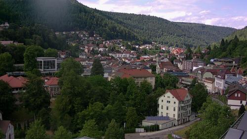 Webcam Bad Wildbad