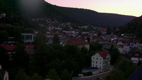 Webcam Bad Wildbad