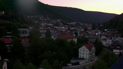 Webcam Bad Wildbad