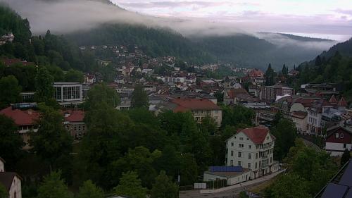 Webcam Bad Wildbad