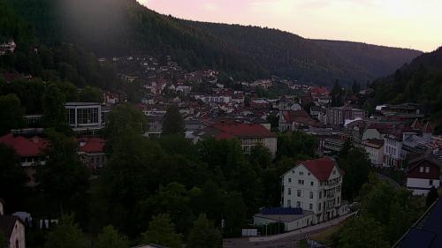 Webcam Bad Wildbad