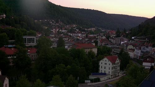 Webcam Bad Wildbad