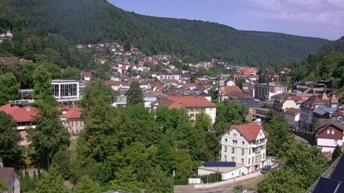 Webcam Bad Wildbad