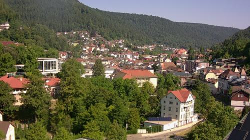 Webcam Bad Wildbad