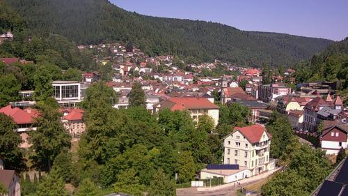 Webcam Bad Wildbad
