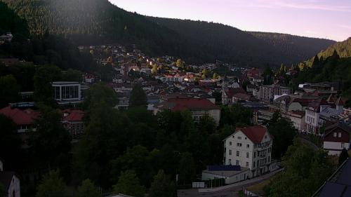 Webcam Bad Wildbad