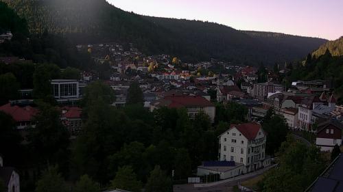 Webcam Bad Wildbad