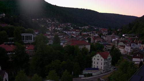 Webcam Bad Wildbad
