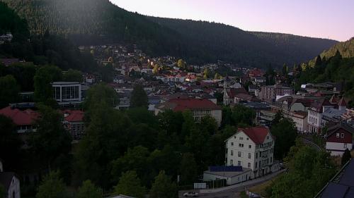 Webcam Bad Wildbad