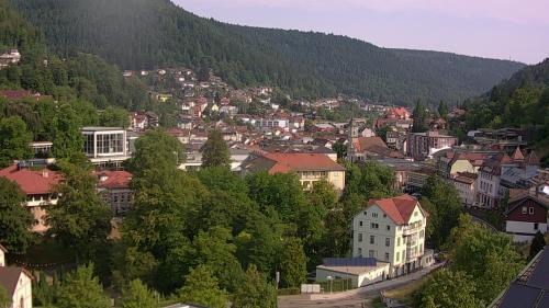 Webcam Bad Wildbad