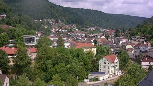 Webcam Bad Wildbad