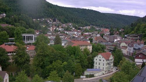 Webcam Bad Wildbad