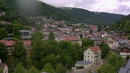 Webcam Bad Wildbad