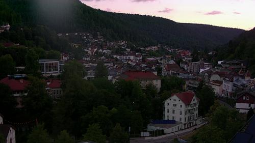 Webcam Bad Wildbad
