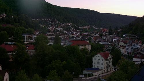 Webcam Bad Wildbad