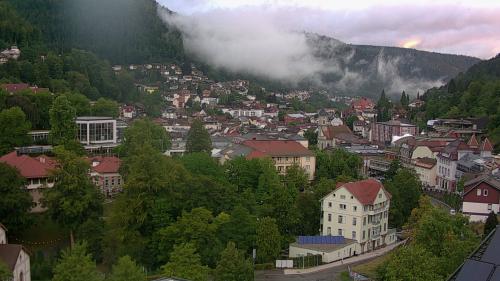 Webcam Bad Wildbad