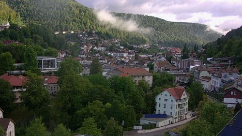 Webcam Bad Wildbad
